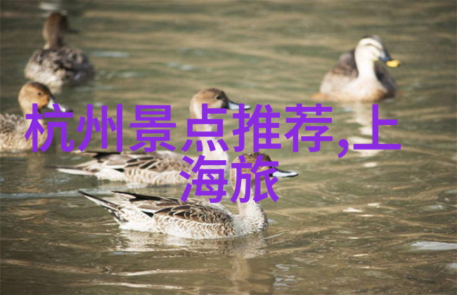 探索闽南美食之旅福州周边自驾游指南