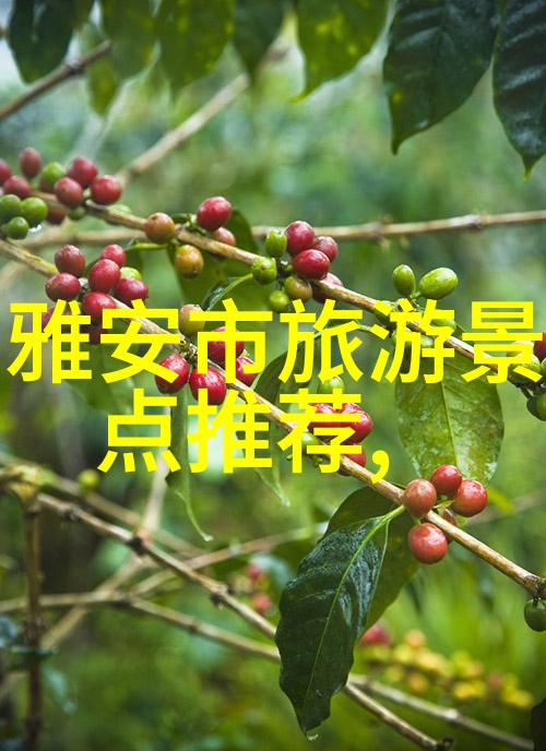 万宁热带雨林冒险与野生动植物共舞