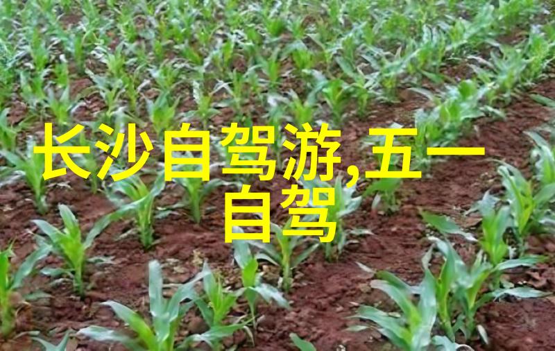 江畔幽梦东江湖景区门票处的温馨驿站