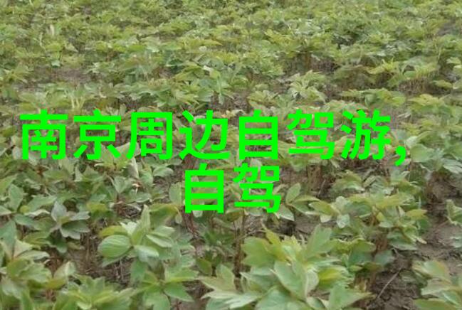 旅游热潮 19年国内旅游人数激增新希望与挑战