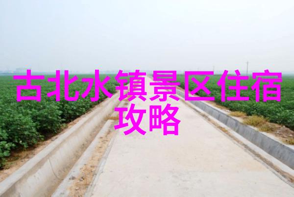 中国古城探秘揭秘苏州的水乡魅力