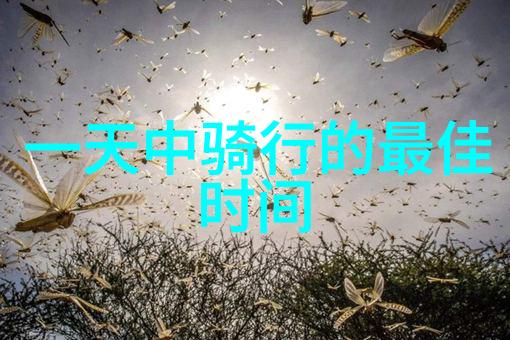 西安古都的迷人魅力