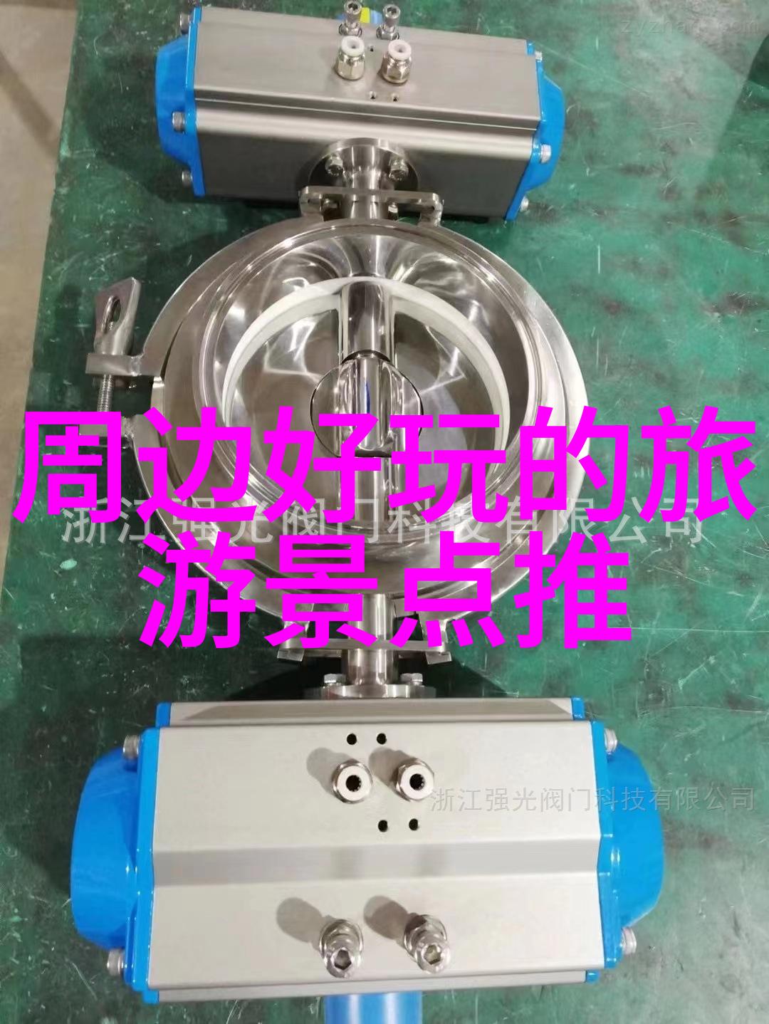 自驾游厦门攻略我的岛城探秘日记