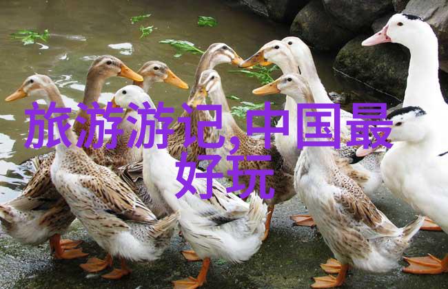 探索精选3日游线路专属报价解析