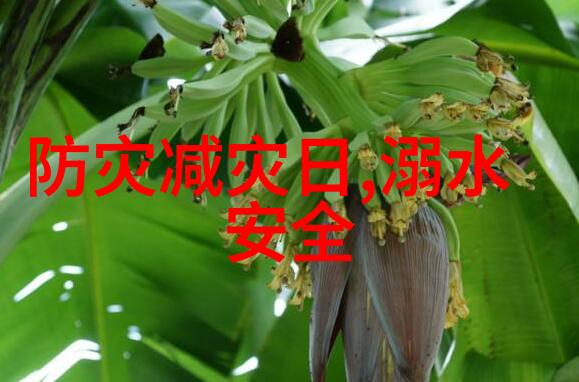 出境游-2022年全球探险重启边界激发旅行梦想