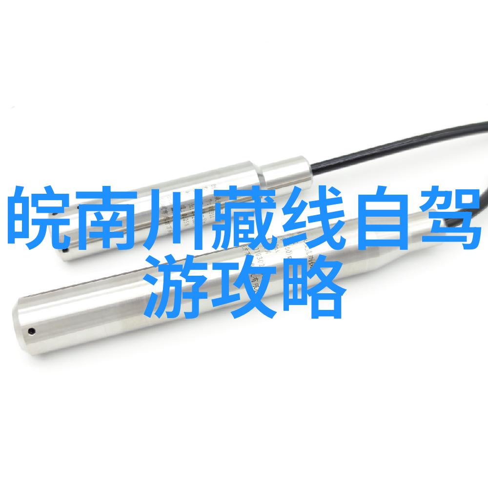 南昌小吃风味揭秘九江米饼的魅力
