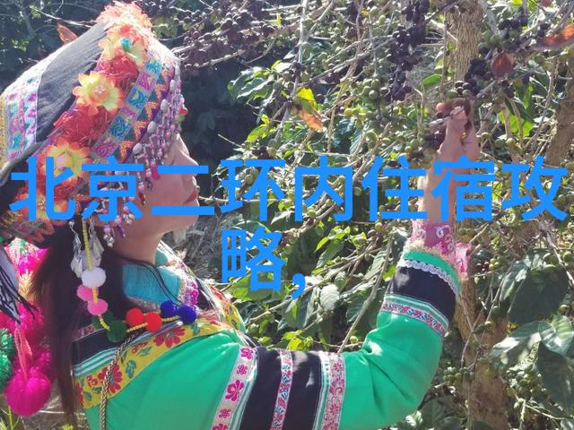 春日游-二月绘春探索最佳春季旅游胜地