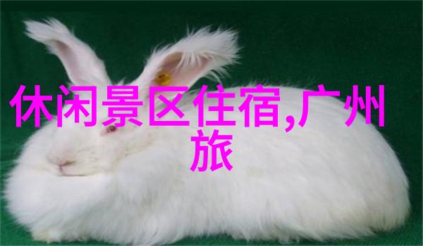 厦门鼓浪屿是怎样的地方让它成为世界文化遗产的象征