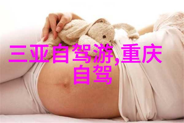 旅游局招聘要求探究职位特性资质标准与职业素养的综合分析
