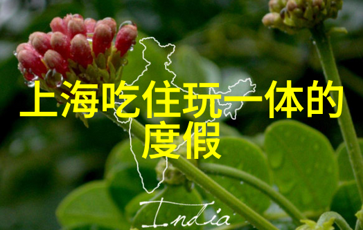 聚焦温馨30人共享的暖心游戏之旅