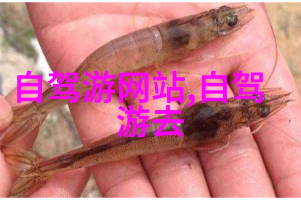 云南旅游攻略景点大全云南旅行指南昆明大熊猫公园丽江古城香格里拉天文台西双版纳热带雨林