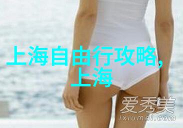 选择理想的公路自行车揭秘骑行速度与舒适度的完美平衡