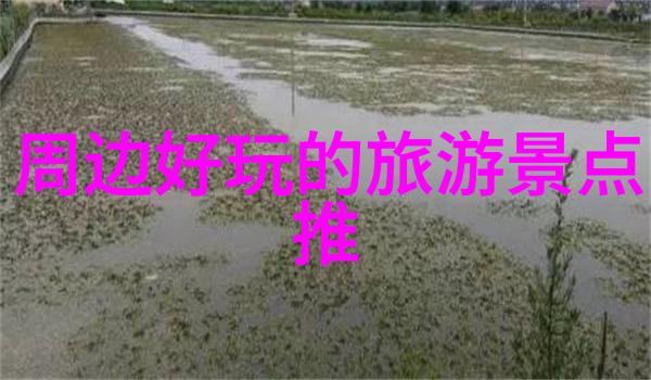 海韵之旅探索舟山群岛的自驾秘境