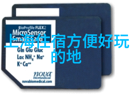 锁情牵心灵的钥匙与永恒的纽带