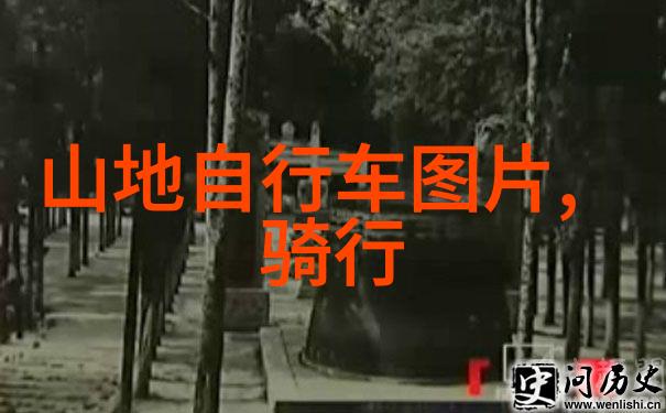 最新旅游景区新闻亲测这座海边小镇的夜空竟然比星河更美