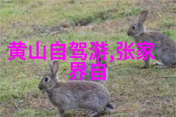 探索世界奇迹新西兰自然之冠的旅行天堂