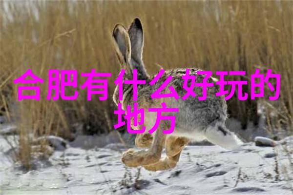 美食攻略-品味世界一份口舌传唱的美食指南