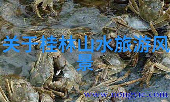探秘草原之冠内蒙古旅游必去10大景点