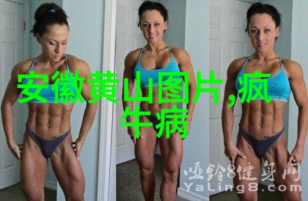 云南旅游最佳时节春夏之交的美妙探索