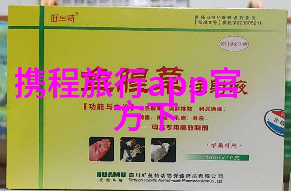 每日四十分钟骑行健康的双轮之旅