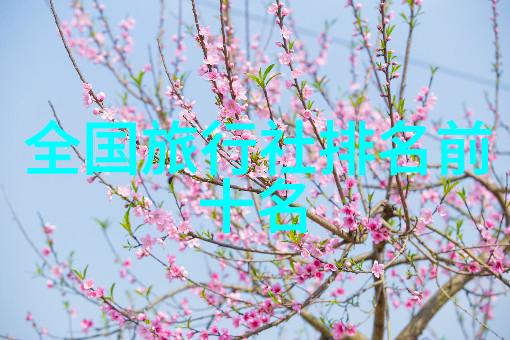 骑行狂潮揭秘那些让你不再辛苦骑单车的神器