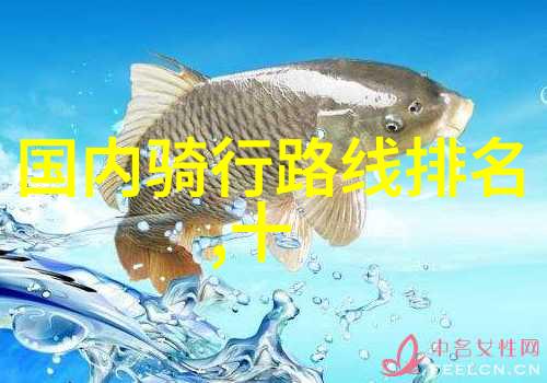 户外活动-探索乐趣100款引领你走进大自然的户外小游戏