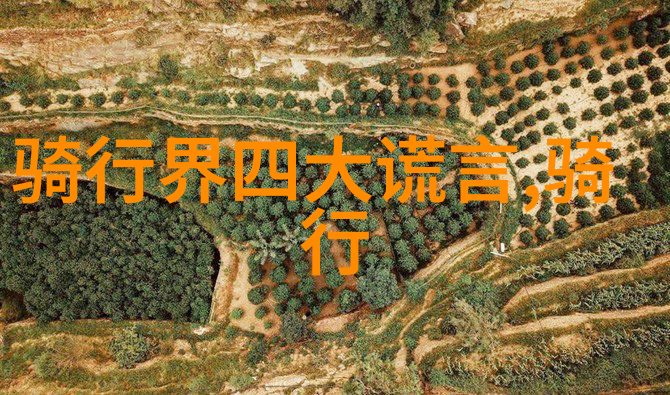 上海住宿指南如何选择合适的住宿地点和设施