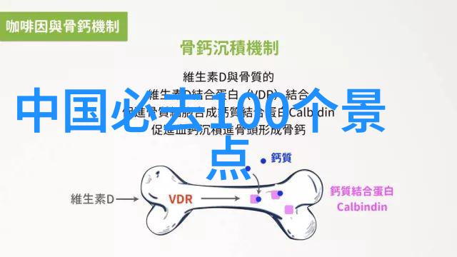 星空下的愿望和梦想精彩小学四年级旅游日常记录