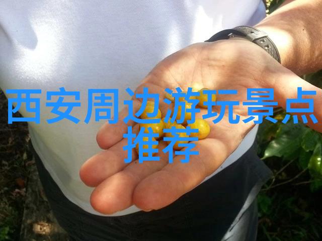 企业拓展风云录团队协作的野外考验