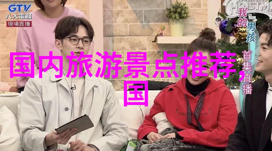 高速生活选择最佳速度的艺术