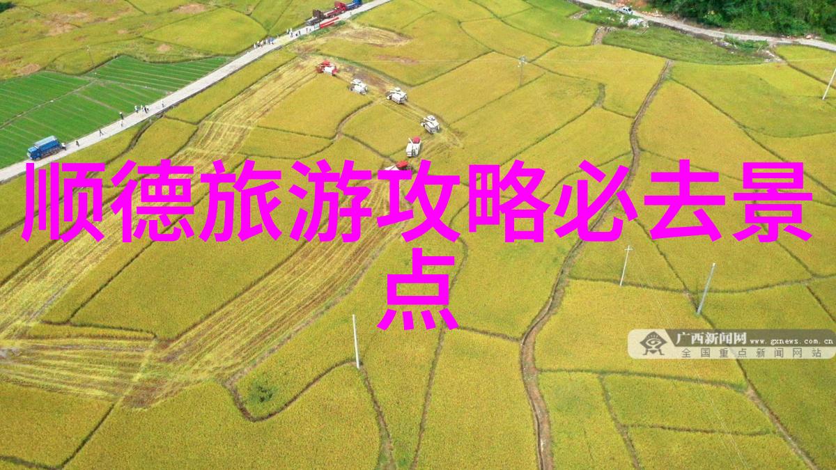 去杭州必吃的10种小吃 - 杭州美食大盘点尝遍西湖边的小笼包鱼烤等经典好味道
