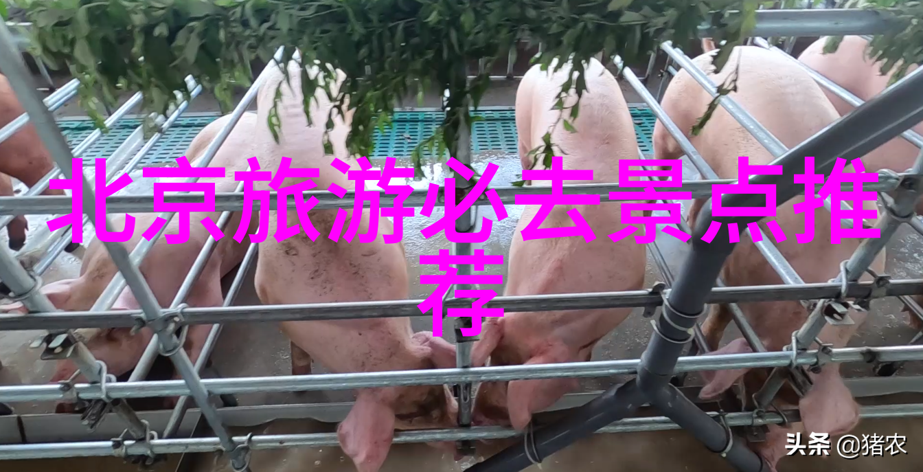 清遠夜景哪里最美晚上在那里散步感受一下夜色