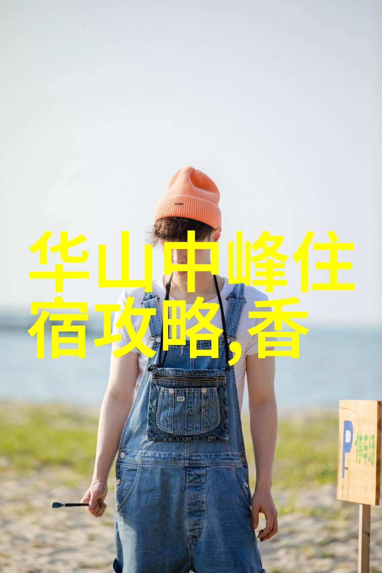 西藏高原之旅探索西藏的自然奇观与文化传统