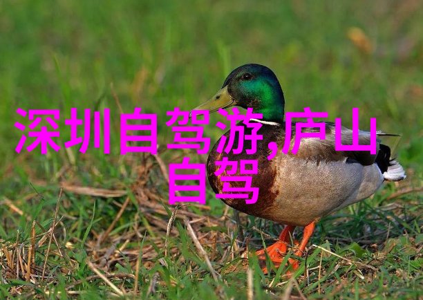 探索印象城美食奇遇一日三餐的味蕾盛宴