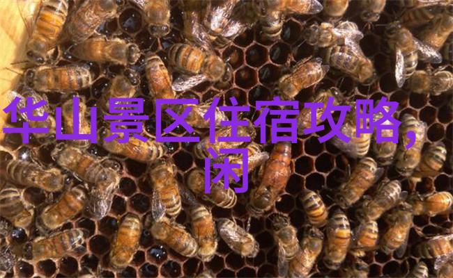 武汉周边自驾游我和小伙伴的探险之旅武汉周边那些趣事