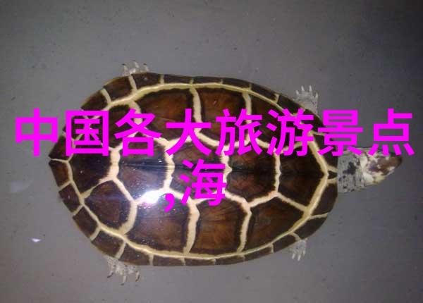享受云南风情重庆到昆明自驾行记