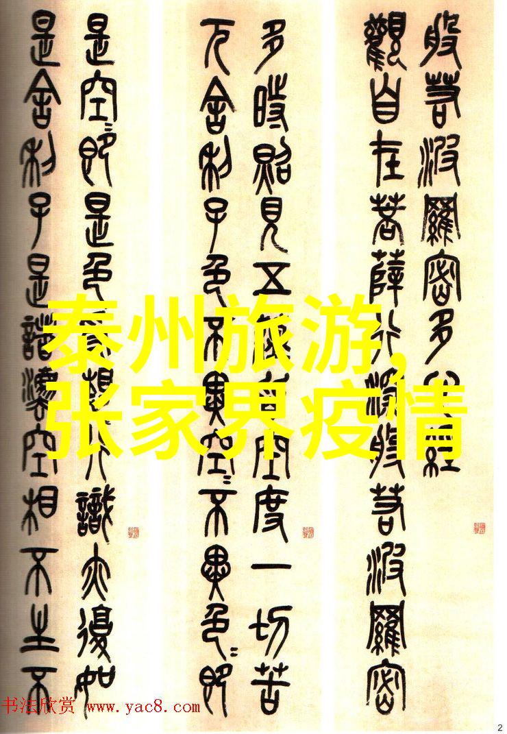 铃声与风的旋律自行车骑行网红的旅途记忆