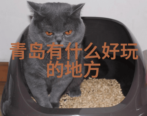 旅行社最怕的五大投诉类别退款之忧
