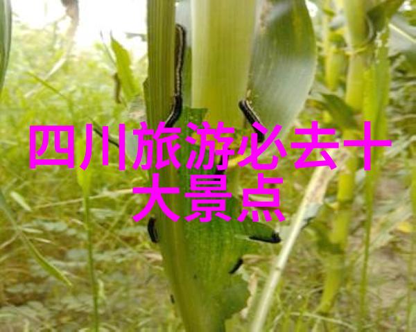 探秘北京揭秘首都的十大历史宝藏