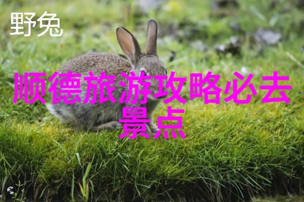 四川探险之旅深度游览四川美丽风光