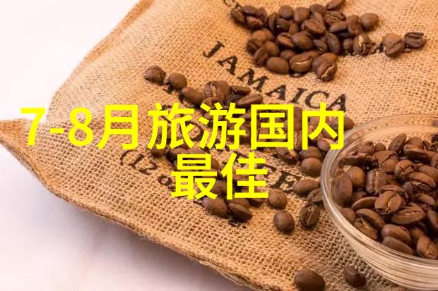 骑行启程捷安特公路车入门指南