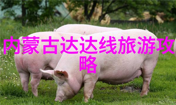 游记作文150字大全-探索奇迹全球100个精彩旅行小镇