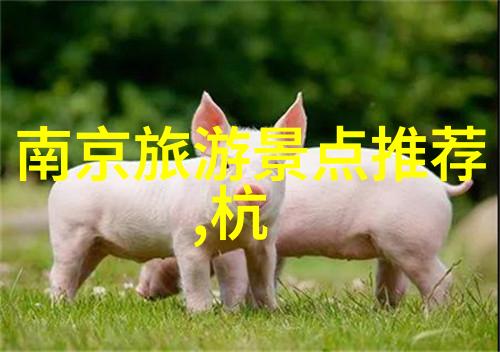 漫步在时光的海岸回忆与探索的游