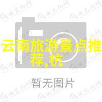 春日游探索幼儿园户外活动的组织与实施艺术