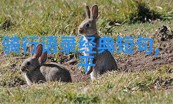 远方的轮廓自驾游中的未知探索