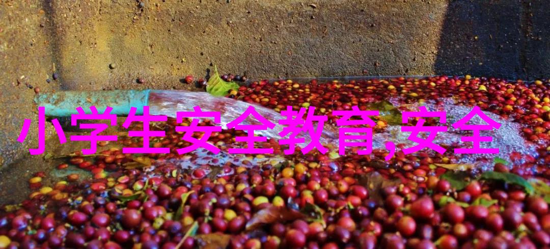 寻梦八方800字的旅行故事