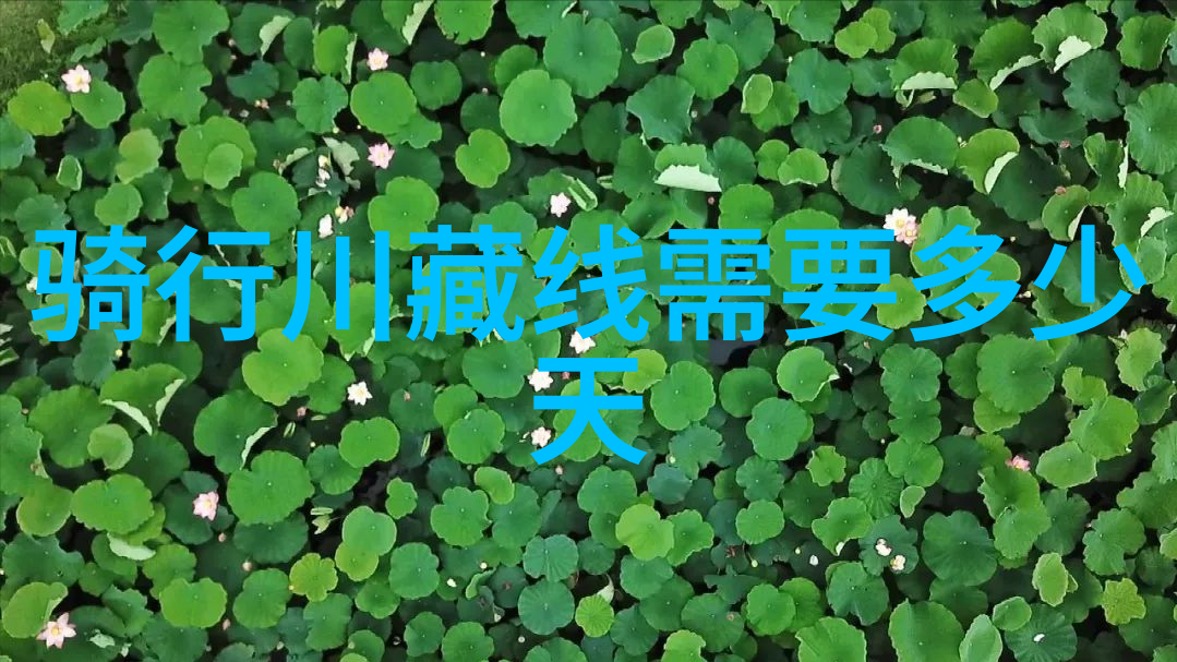 舍近求远寻找真实的中国味道上海小吃一条街游记