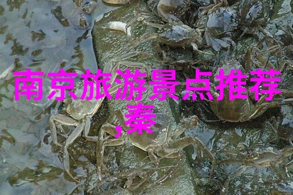四川探秘之旅七日游自由行指南四川旅游攻略自由行规划成都美食九寨沟风光