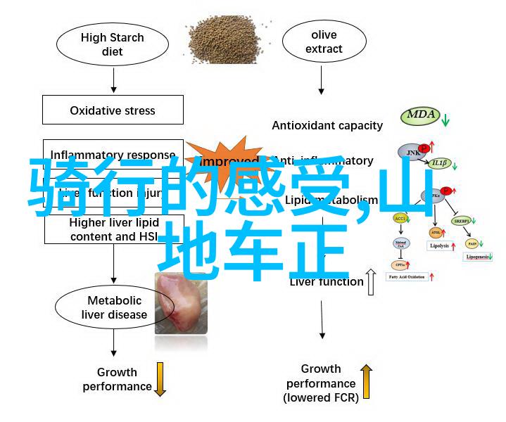 探索泰州魅力住宿指南