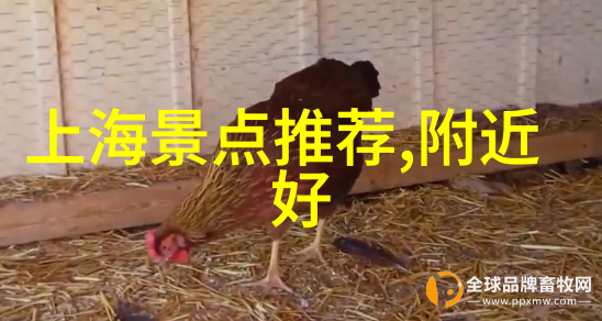 贵州自驾游7-10天攻略探索黔南的神秘古迹与壮丽风光